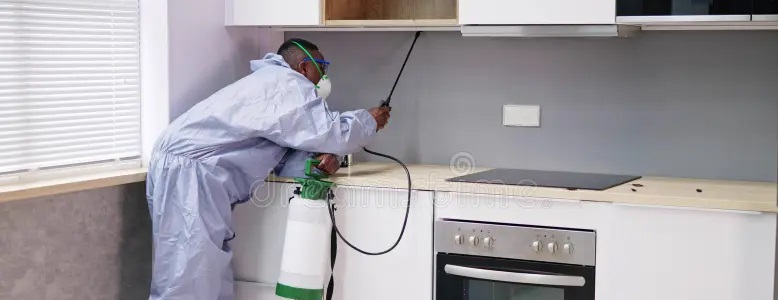 Residential Pest Control in kenya 