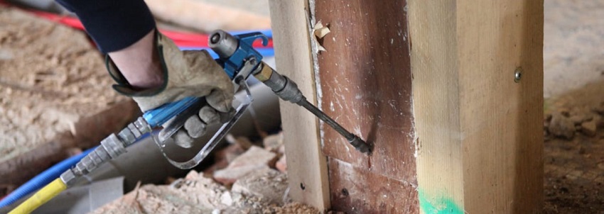 termite control services in kenya
